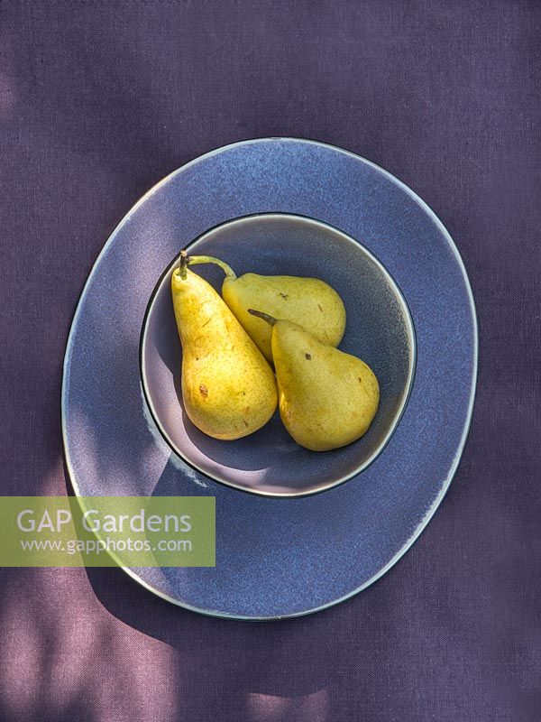 Display of violet tableware with yellow pears on the purple tablecloth.