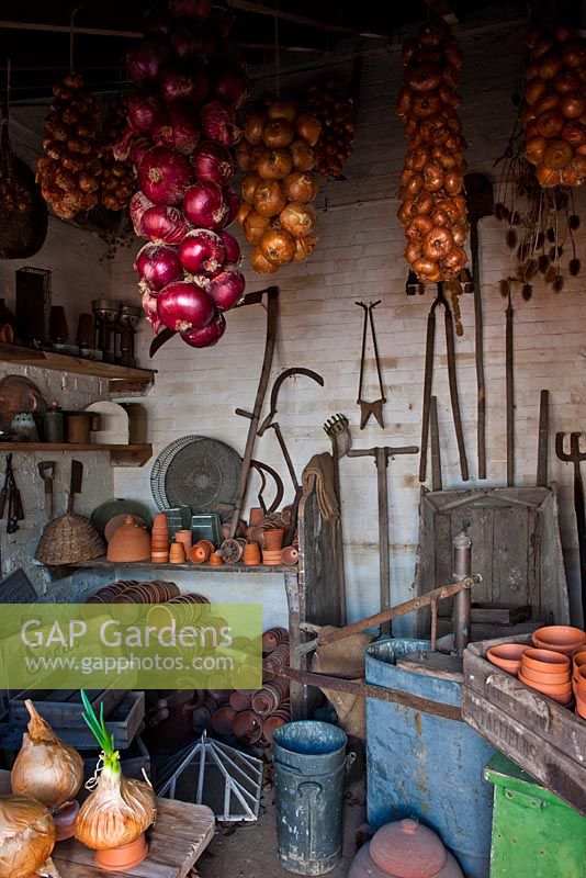 Garden tools in potting shed 