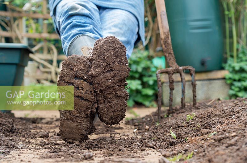 Gardener resting wearing muddy boots after digging the garden