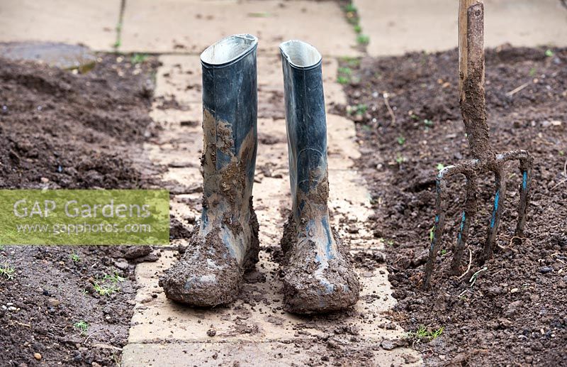 Gardeners muddy boots after digging the garden
