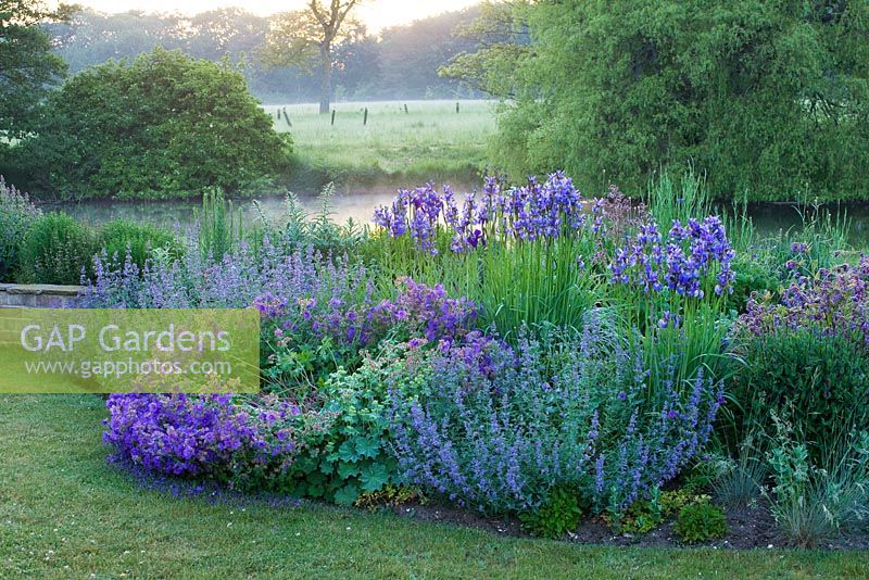 The blue garden - border beside the lawn with geraniums, nepeta and Iris sibirica. Narborough Hall Gardens, Norfolk