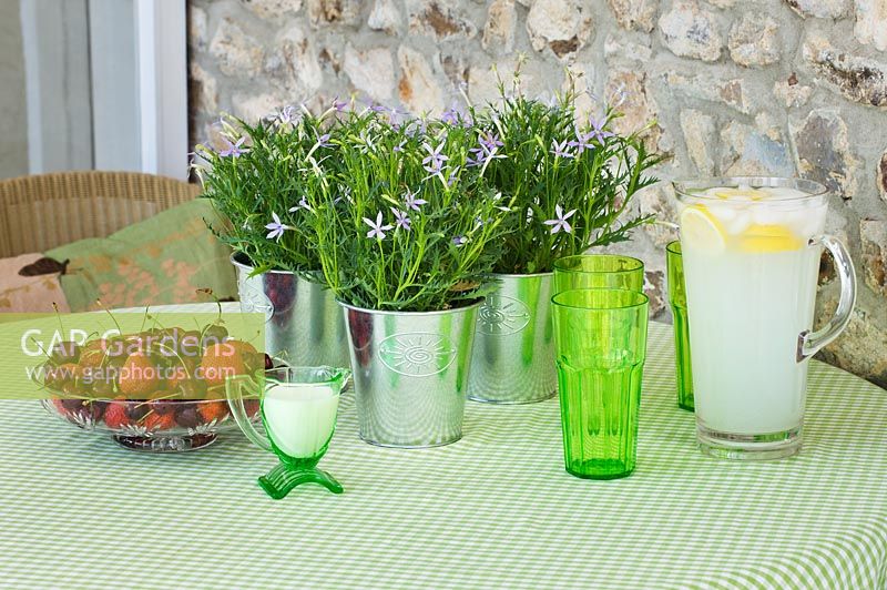 Table with green glasses, bowl of fruit and metal containers planted with Isotoma axillaris in conservatory 
