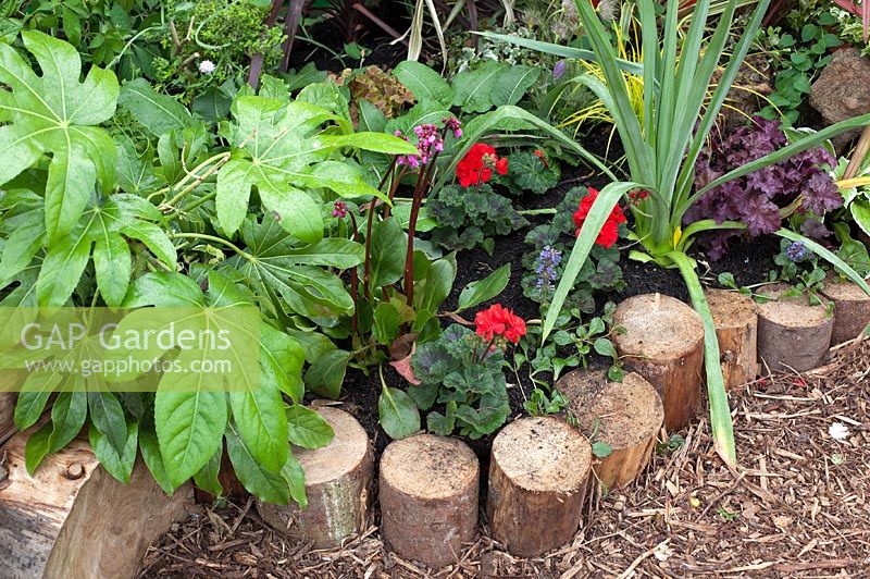 Logs used as border edging - Nature Versus Man Garden