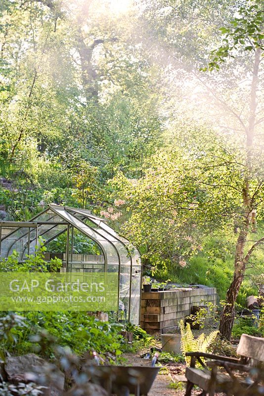 Greenhouse in early summer garden with bonfire smoke