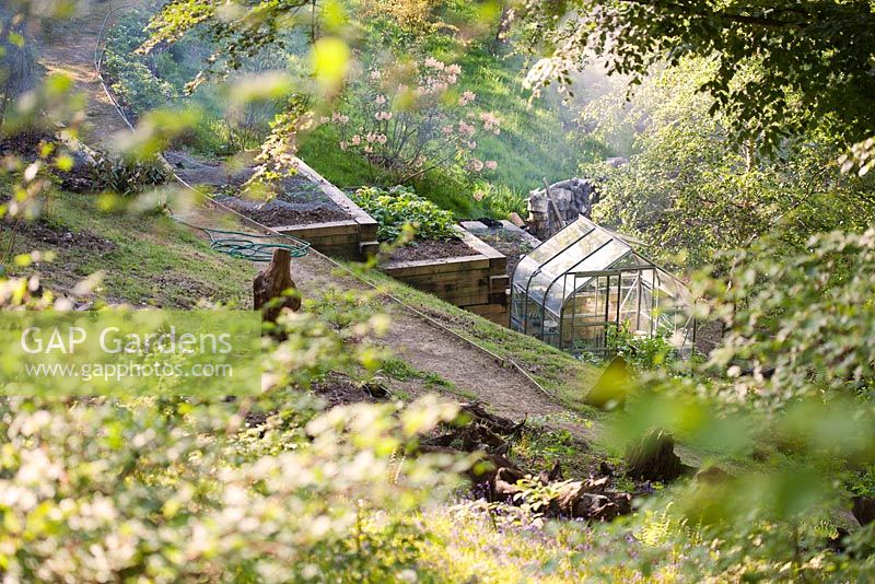 Greenhouse from top of woodland garden with bonfire smoke and terraced raised vegetable beds down hill