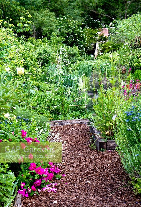 Herb beds mixed with perennials. Jardins des Paradis, Cordes-sur-Ciel, Tarn, France. Designed to encourage children's interest in gardening. 