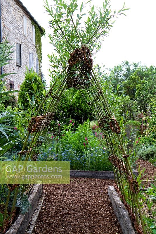 Living sculptural piece of willow grown as an arched tunnel displayed in the raised beds potager at Jardins des Paradis, Cordes-sur-Ciel, Tarn, France. Designed to encourage children's interest in gardening. 