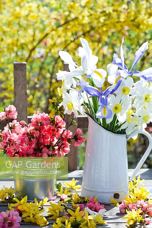 Floral arrangements includes Narcissus, Forsythia and Chaenomeles japonica.