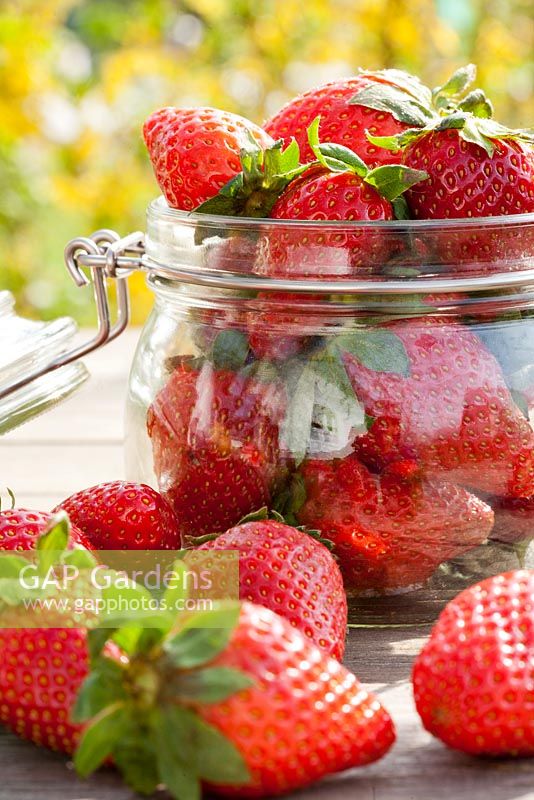 Picked strawberries in glass jar.
