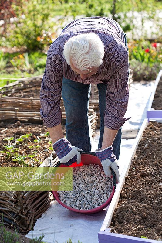 Man constructing gravel path in vegetable garden. Adding gravel.