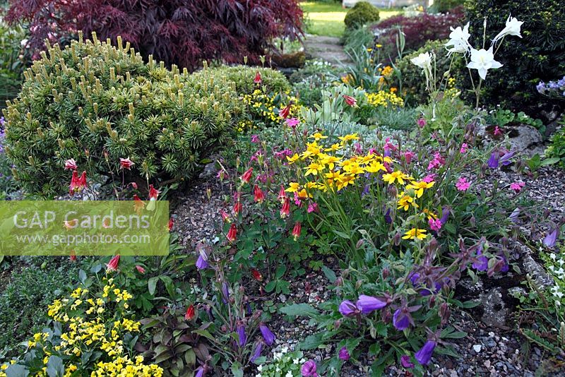 Mixed colourful planting in rock garden