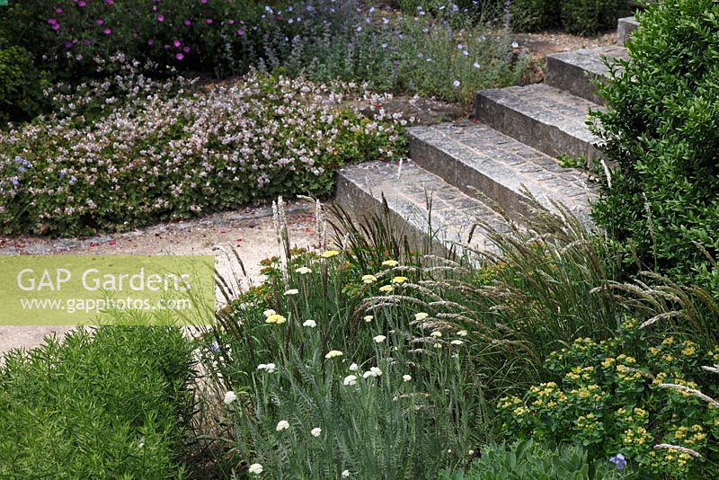 Granite steps with perennial beds with mixed perennial flowerbeds including geranium x cantabrigiense 'Biokovo'