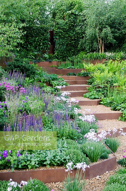 A Garden for First Touch, RHS Chelsea Flower Show 2014 - Sponsor: St George's Hospital, St George's University of London, Landscape Associates 