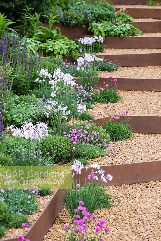 Mixed border beside set of gravel steps, separated by rusted metal. Armeria maritima. A Garden for First Touch, RHS Chelsea Flower Show 2014 - Sponsor: St George's Hospital, St George's University of London, Landscape Associates, Tendercare