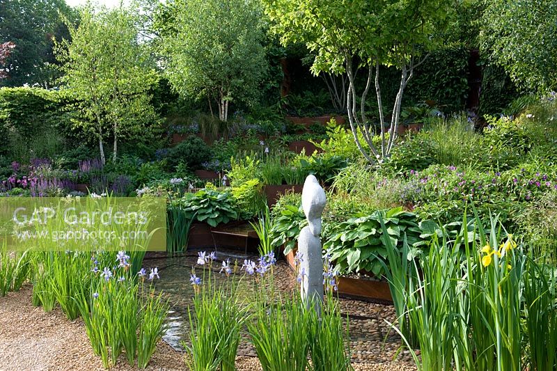 A Garden for First Touch at St George's Sloping garden of green foliage especially hostas and Siberian Iris with stepped water course in rusty steel channel. 