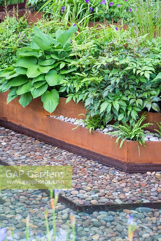 Pebble lined water feature with rusted metal border. Hosta hyacinthina. Garden: A Garden for First Touch at St George's. Designer: Patrick Collins. Sponsors: St George's Hospital Trust, Tendercare, Landscape Associates.