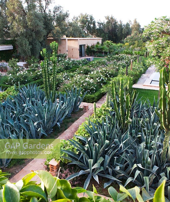 MacIntosh Garden, Morocco - Design: Eric Ossart and Arnaud Maurieres