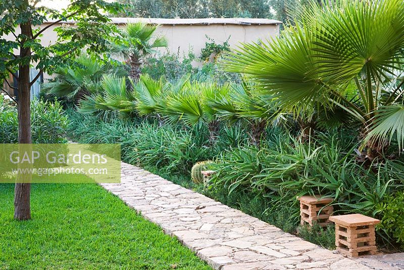 Pathway between border and lawn in The MacIntosh Garden, Morocco 