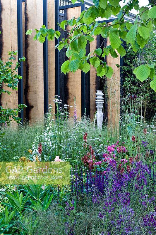 Cloudy Bay Sensory Garden, Tall oak panel fins on black back wall Irises, Salvia and Grasses in matrix planting scheme  