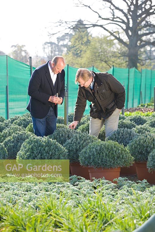 Arne Maynard and Crocus Co-Director Mark Fane talking at the nursery before the Chelsea Flower Show 2012