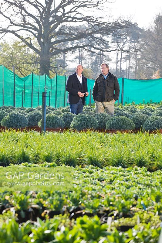 Arne Maynard and Crocus Co-Director Mark Fane talking at the nursery before the Chelsea Flower Show 2012

