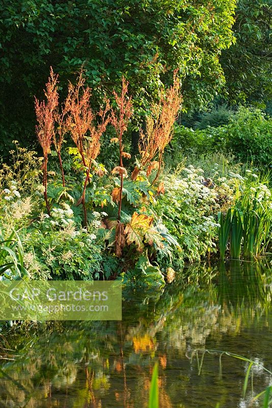 Pond at Little Ponton Hall Gardens, Lincolnshire
