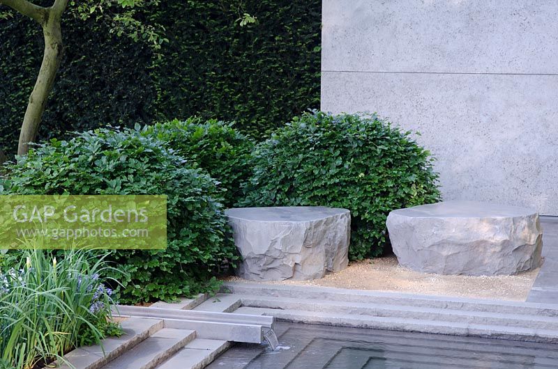 Trimmed evergreen shrubs and stones next to water feature - The Laurent Perrier Garden, RHS Chelsea Flower Show 2014 