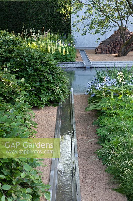 Planting combination in yellow green white and blue, with Lupinus 'Chandelier' and water feature. The Laurent-Perrier Garden.  RHS Chelsea Flower Show 2014
