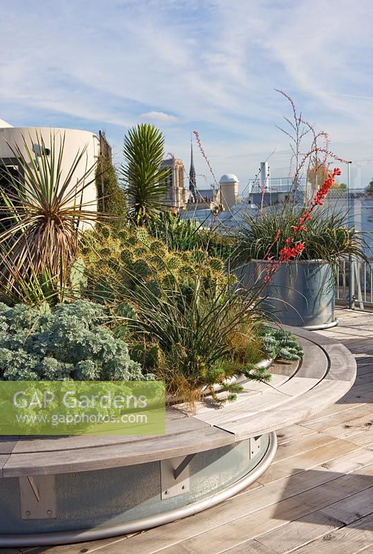 Raised bed with built in seating filled with cactus and succulents on roof terrace garden, The Holiday Inn, Rue Danton, Paris, France