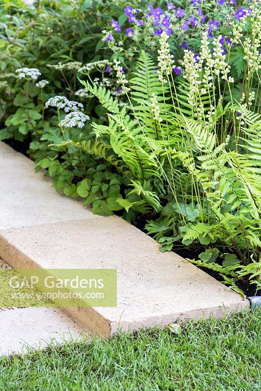 The M and G garden, Gold medal winner. RHS Chelsea Flower Show 2014. Fern, Geranium 'Kashmir Purple', Heuchera 'Greenfinch'.