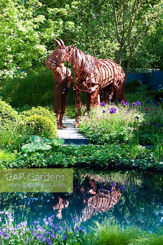 Joey, The National Theatre's War Horse in press event, grazing silently on planting. - No Man's Land ABF The Soldiers' Charity Garden to mark the centenary of World War One. Gold medal, RHS Chelsea Flower Show 2014.
