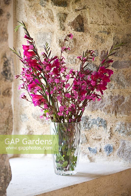 Gladiolus communis byzantinus and red campion bouquet on a bench in St Tugal's Chapel. Herm Island, Channel Islands 
