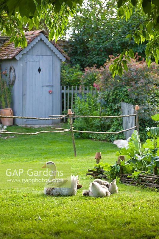 Lawn, geese and a decorative potager / vegetable garden. Les Jardins de Roquelin, Loire Valley, France