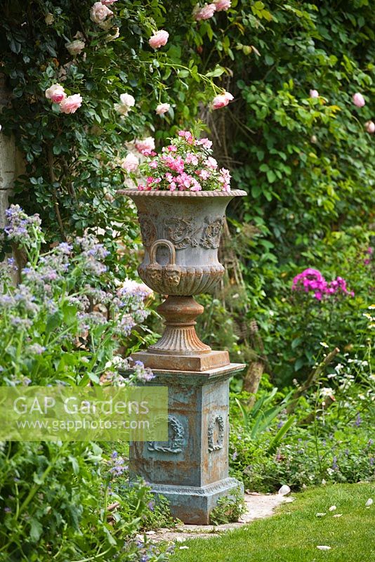 Vintage metal urn with Rosa 'The Fairy' in front of farmhouse with Rosa 'Pierre de Ronsard'. Les Jardins de Roquelin, Loire Valley, France