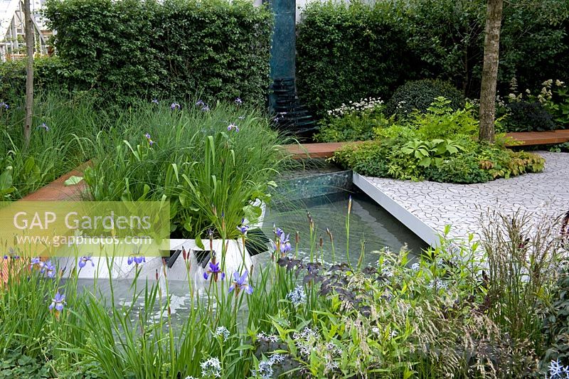RBS Waterscape Garden, RHS Chelsea Flower Show 2014, Gold Medal. Pool fed by spouts in raised sides. Plants include Iris sibirica 'Gerald Darby', Deschampsia cespitosa, Angelica atropurpurea