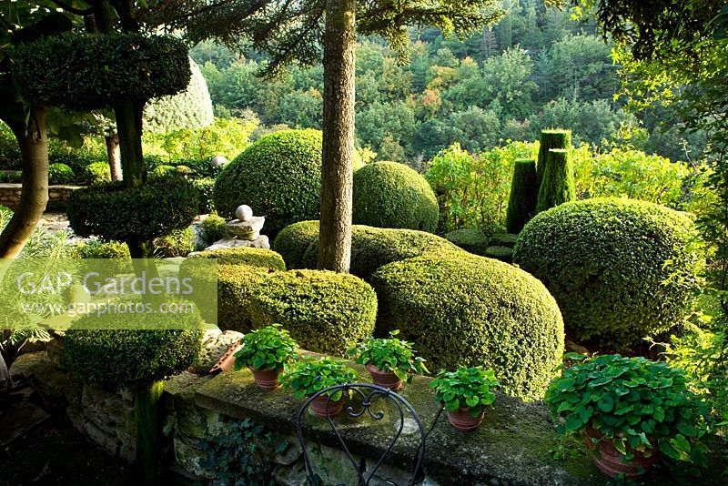 Topiary in French country garden with views to countryside beyond 