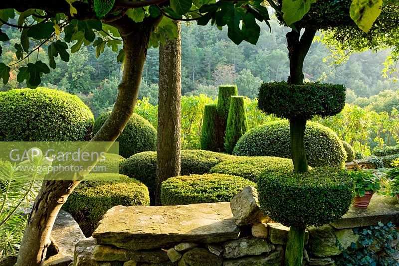 Topiary in French country garden with views out to countryside beyond 