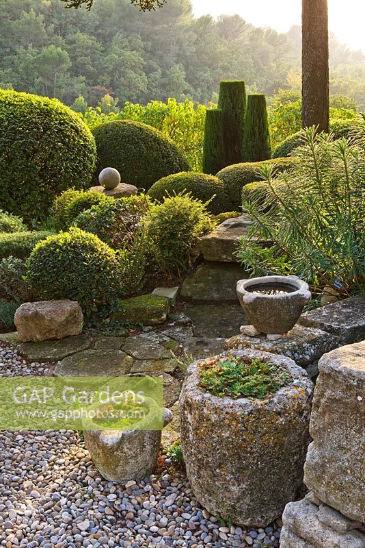 Stone containers planted with succulents on terrace at dawn with topiary shapes beyond