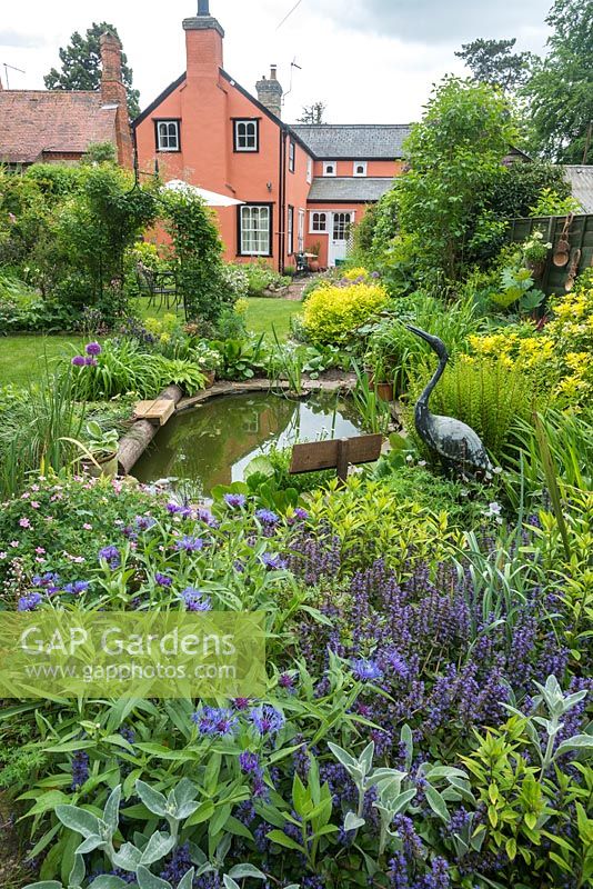 Wildlife pond in cottage garden with hardy geraniums, ajuga, stachys, centaurea and ferns. Sculpture of heron.