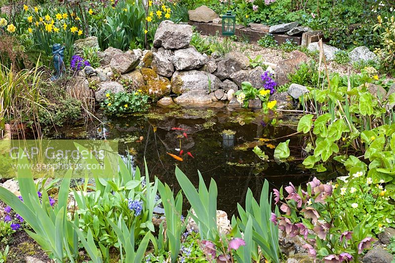 Small pond in early spring with rockery