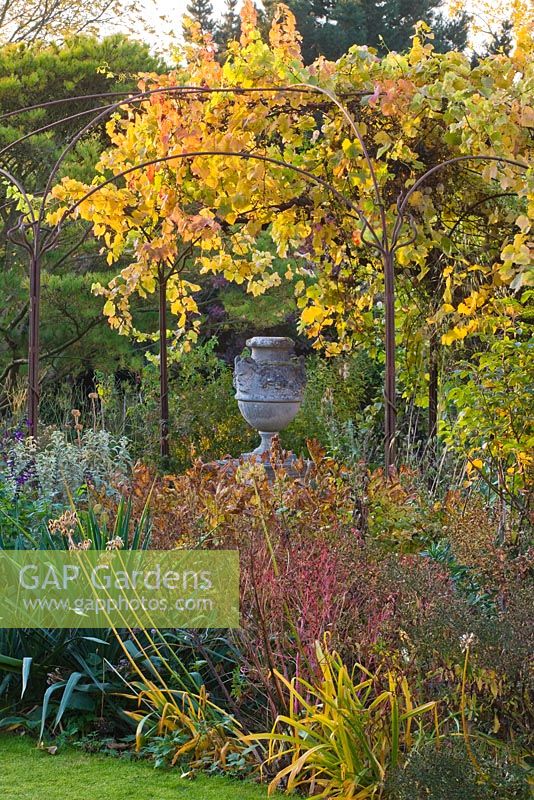 View across lawn in autumn with evening light on pergola, vine and stone urn. Saling Hall, Essex