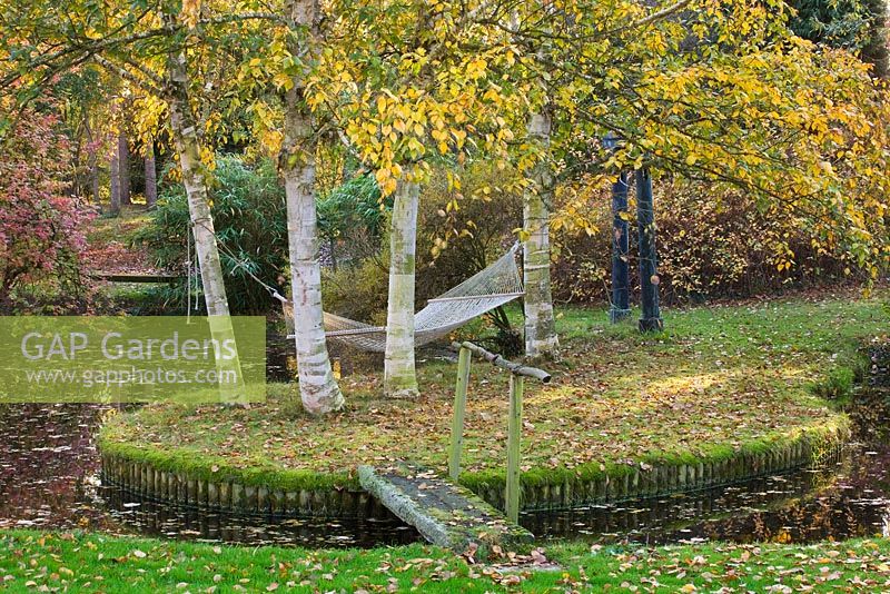Hammock suspended from Betula Jermyns trees on island with wooden bridge - autumn 