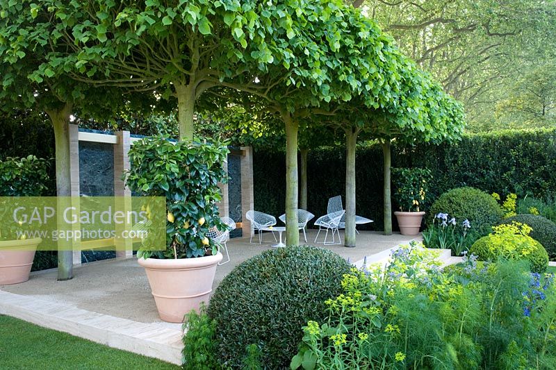 The Telegraph Garden, RHS Chelsea Flower Show 2014, gold medal winner. Loggia at rear of Italianate garden with white metal wire seats. Lemon trees in containers. Tilia x europea 'Pallida' pleaching 