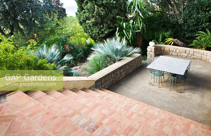 Brick steps down to patio with table and chairs - low wall and Brahea Armata 