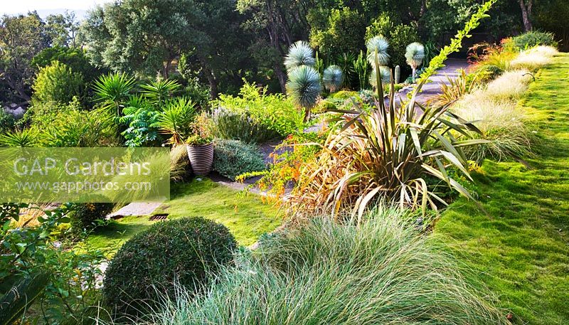 View down onto a succulent garden with phormium and Zoiysa tenuifolia in foreground. 