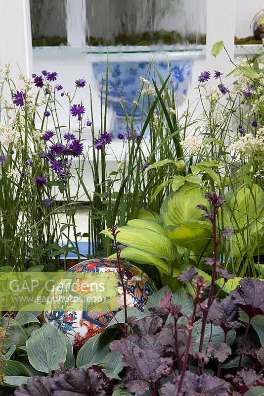 Japanese porcelain sphere with hosta and Aquilegia 'Blue Barlow' with imari bowl in background framed by water feature. Arita, RHS Chelsea Flower Show 2014. 