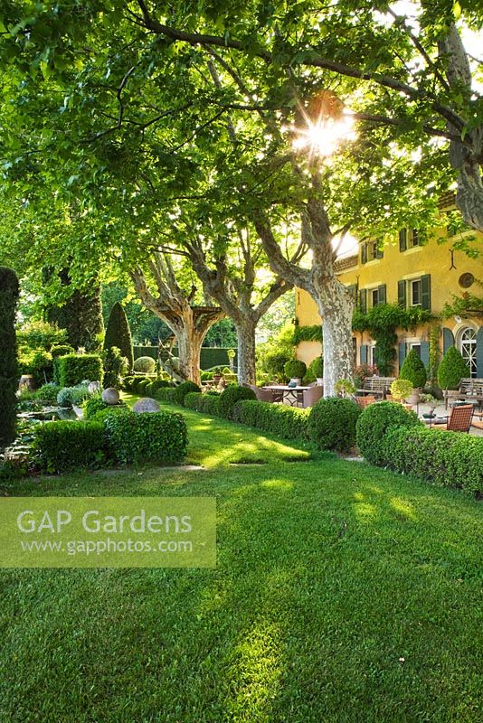 The house with plane trees and hedging. Les Confines, Provence, France
