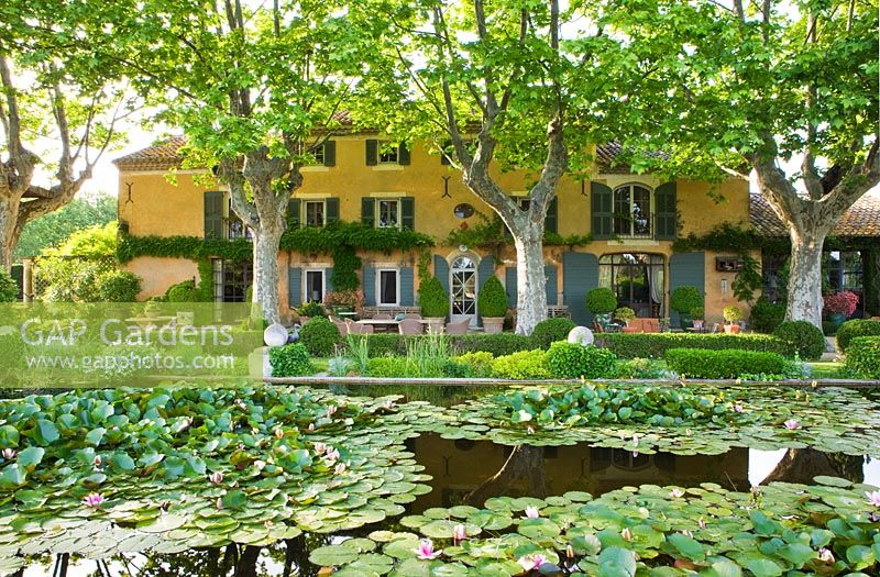 The house with plane trees seen from across the waterlily pond. Les Confines, Provence, France