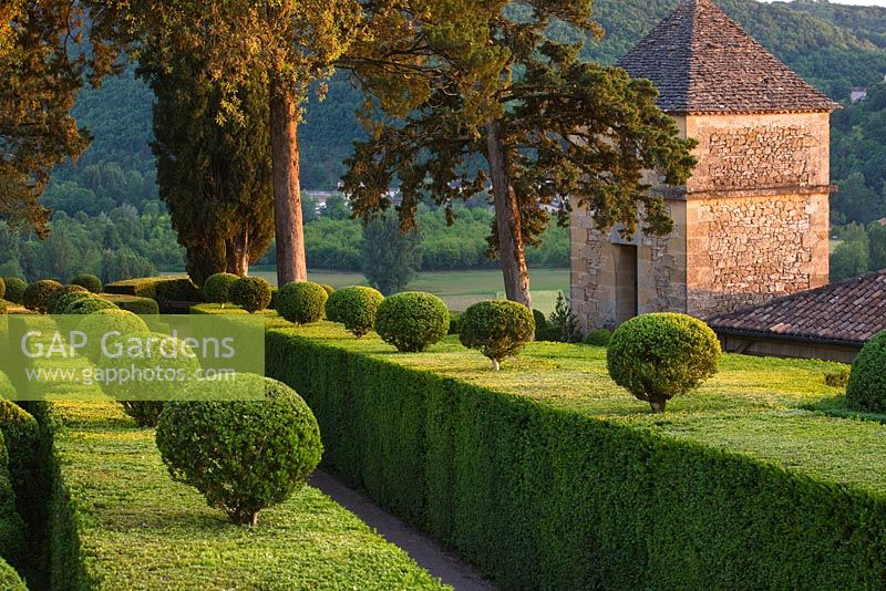 Topiary on clipped hedges with pathway between - The overhanging gardens of Marqueyssac, Perigord, France 