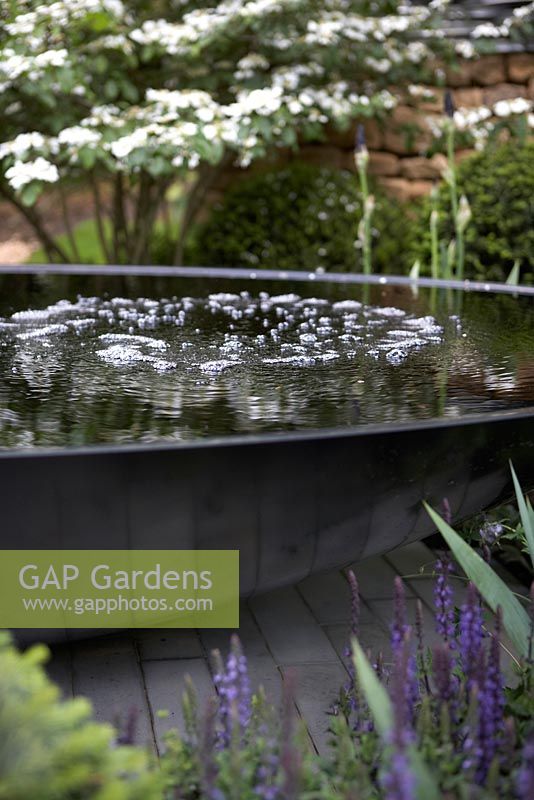 Elliptical pond constructed from Corian with salvias. Tour de Yorkshire, RHS Chelsea Flower Show 2014